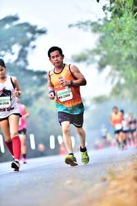BIB: 27516, 21443
                            <button type="button" onclick="openModal(10120062)" class="btn btn-primary btn-sm float-right btn-popup" data-toggle="modal" data-target=".modal-high-quality">
                        <i class="fas fa-shopping-cart"></i> Add to Cart
                    </button>
                                            <button type="button" onclick="isThisMe(10120062, true)" class="btn btn-success btn-sm float-right btn-popup btn-isme hidden" data-toggle="tooltip" data-placement="bottom" title="นี่คือรูปของคุณใช่ไหม คลิกที่นี่เพื่อเอาเข้าอัลบั้ม">
                        <i class="fas fa-plus"></i> Add to album
                    </button>
                    <button type="button" onclick="isThisMe(10120062, false)" class="btn btn-warning btn-sm float-right btn-popup btn-isnotme hidden">
                        <i class="fas fa-ban"></i> Remove from album
                    </button>